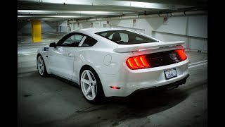 Mustang Saleen S302 White Label  Exhaust Compilation [upl. by Caesar597]