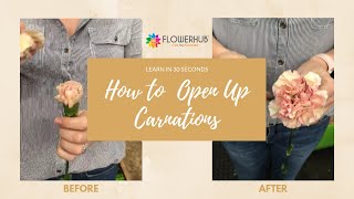 How to open up Carnations in 30 seconds [upl. by Ardnak]