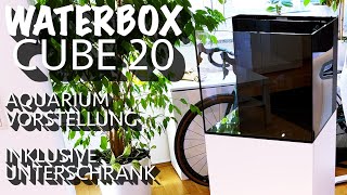 WaterBox Cube 20 inklusive Unterschrank  Aquarium Vorstellung [upl. by Claudell761]