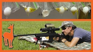 Savage Model 10 GRS 65 Creedmoor vs the 300Yard Egg Challenge [upl. by Scutt]