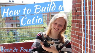 How to build a catio on a balcony  CHEAP solutions [upl. by Libb490]