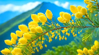 Soothing Music For The Nerves 🌿 Healing Music For The Heart Blood Vessels And Relaxation [upl. by Hutner455]