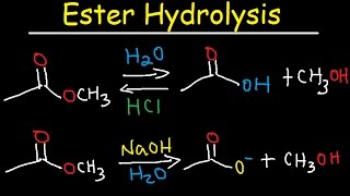 Ester Hydrolysis Reaction Mechanism  Acid Catalyzed amp Base Promoted Organic Chemistry [upl. by Darill]