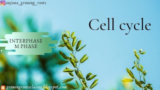 CELL CYCLE Malayalam  Interphase amp M Phase  Prophase  Metaphase  Anaphase  Telophase  Cell di [upl. by Idaf]