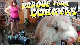 PARQUE PARA COBAYAS 🐀 Juguetes para cuyos [upl. by Jeremie853]