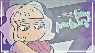 ❝Tιɴy Frαcтυreѕ❞ 16k  mv  Star vs The Forces of Evil [upl. by Atorod]