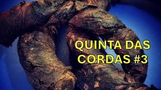 TRADIÃ‡ÃƒO E PRECONCEITO COM TABACO DE CORDA  Quinta das Cordas 3 [upl. by Clougher]