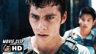 THE MAZE RUNNER Clip  quotThomas And Minho Survive The Mazequot 2014 [upl. by Pape339]