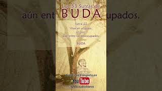 Buda  Sutra 22 Del Audiolibro Los 53 Sutras de Buda buda budismo espiritualidad audiolibro [upl. by Ijuy700]