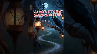 RAAT MEIN UDATEE CHIDIYA KA SACH HIMMAT HAI TO JAANIE KYA HAI ISAKE PEECHHEshorts mysterytales [upl. by Slinkman]