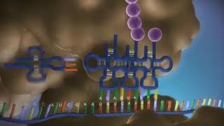 From DNA to protein3DDnkTranskripcijaTranslacijaSVETBIOLOGIJE [upl. by Htessil250]