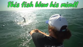 Pier Fisherman Surprised with FREE TARPON FISHING TRIP in Tampa Bay [upl. by Ailedroc578]