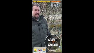 Pampas Gras und Gräser schneiden [upl. by Amory]