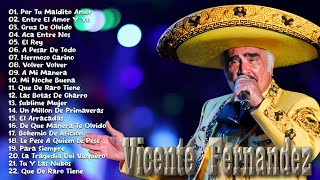 VICENTE FERNÁNDEZ SUS MEJORES ÉXITOS  VICENTE FERNANDEZ CORRIDOS DE CABALLOS MIX LO MEJOR [upl. by Anailli145]