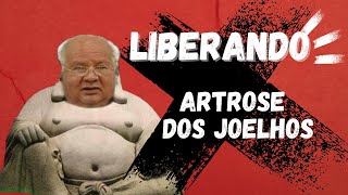 filhotinho liberando artrose dos joelhos [upl. by Naujud]