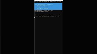 1 Minute IT Testing open ports with TestNetConnection shorts [upl. by Imoin971]