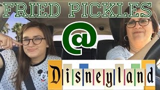 TRYING FRIED PICKLES  Disneyland vlog 3 [upl. by Eppesiug]