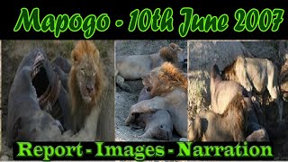 Mapogo Lions  Two Kills in one day Giraffe and Rhino [upl. by Eiclek482]