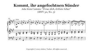 Organ Kommt ihr angefochtnen Sünder Alto Aria “Freue dich Erlöste Schar” BWV 30  JS Bach [upl. by Lateh880]