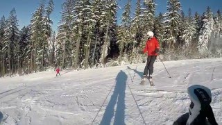 ski carving 2016  Schöneck Eibenstock Carlsfeld  espeed [upl. by Sherar510]