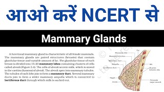 Mammary Glands Human Reproduction Class 12 Chapter 3 NCERT Line By Line [upl. by Shayla]