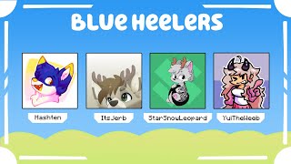 Blue Heelers  MCC Rising 2 Application [upl. by Neellok]