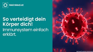 Das Immunsystem einfach erklärt [upl. by Alraep]