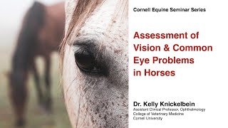 Assessment of vision amp common eye problems in horses  Cornell Equine Seminar Series March 2022 [upl. by Anauqahc430]