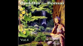 Oliver Shanti amp Friends Buddha and Bonsai Vol4 [upl. by Yurt]