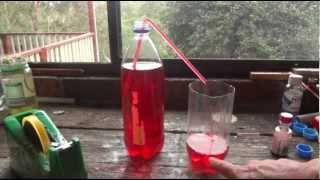 How to make a Straw Syphon  Simple Science Experiment  Uses Everyday Items [upl. by Nnylimaj343]