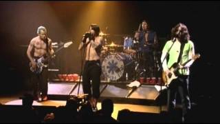 Red Hot Chili Peppers  By the Way  Live at Olympia Paris [upl. by Dlarej]