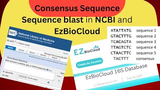 Consensus sequences from forward and reverse sequences Blast in NCBI and EzBioCloud DrZahidMumtaz [upl. by Lindbom]