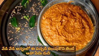 జీలకర్ర పల్లి పచ్చడి  Jeera Pachadi In Telugu  Jeera chutney  Roti pachadi For Rice chapathi [upl. by Monroy]