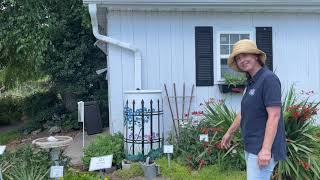 The Rain Barrel Garden [upl. by Nemzzaj]