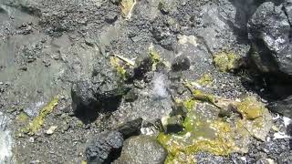 Hot springs lake bogoriaafrica kenya video travel adventure springs [upl. by Rednasxela]