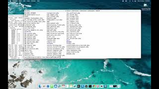 Metasploitable2 on MacOS Port 1099 with Java RMI Exploit  A Deep Dive into Metasploit [upl. by Dnalyk]