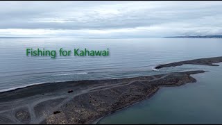 Fishing for kahawai in New Zealand  4K60 DJI Air 3S [upl. by Zaraf496]