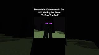 Crystal Castles  Transgender Enderman in end meme gaming edit thingsyoudidntknowaboutminecraft [upl. by Hubert]