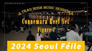 Irish Trad music and Ceili Dance in Korea  여의도 한강공원 버스킹 아일랜드 음악과 춤 [upl. by Ruamaj]