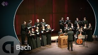 JS Bach Motet BWV 225 Singet dem Herrn  Vocalconsort Berlin [upl. by Bible]