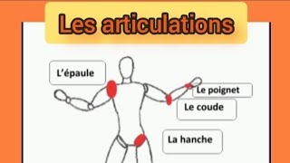 Les articulations [upl. by Dorita114]