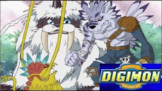 Garurumon digievoluciona a Weregarurumon  DIGIMON CAPITULO 23 COMPLETO digimon digimonlatino [upl. by Aeslehs5]