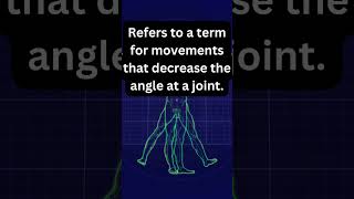 Anatomical Terminology [upl. by Anavahs769]