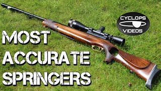 Most Accurate Airguns  Springer Air Rifles [upl. by Fancie]