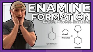 Enamine Formation Forward and Reverse Directions [upl. by Florine]