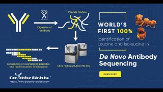 100 Identification of Leucine and Isoleucine in De Novo Antibody Sequencing  Creative Biolabs [upl. by Tedmund]