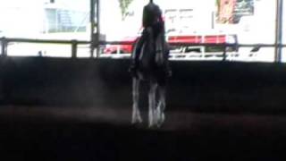 Gatton Clydesdale Dressagewmv [upl. by Moran]