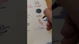 Correcting Funny Test Grading School Teacher Professor ASMR Satisfying [upl. by Nadean220]