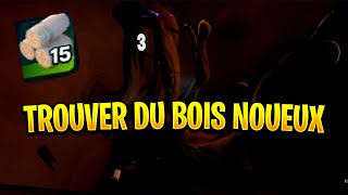 LEGO FORTNITE Fr  TROUVER DU BOIS NOUEUX ET COMMENT LE RECUPERER [upl. by Itirp646]