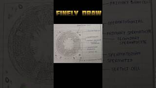 Kya picture draw Kiya hai bhai hamne 12th practical of biology experiment 1 [upl. by Eikceb]